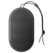 Logo B&O Beoplay P2